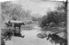 Stuart River